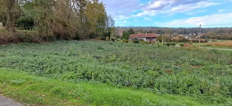 Terrain à LA BARTHE-DE-NESTE