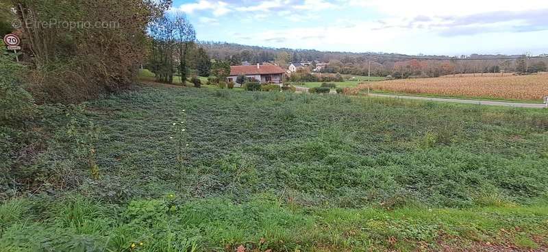 Terrain à LA BARTHE-DE-NESTE