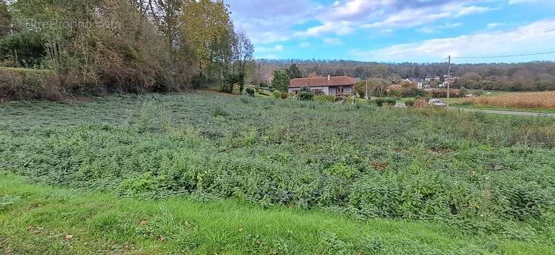 Terrain à LA BARTHE-DE-NESTE