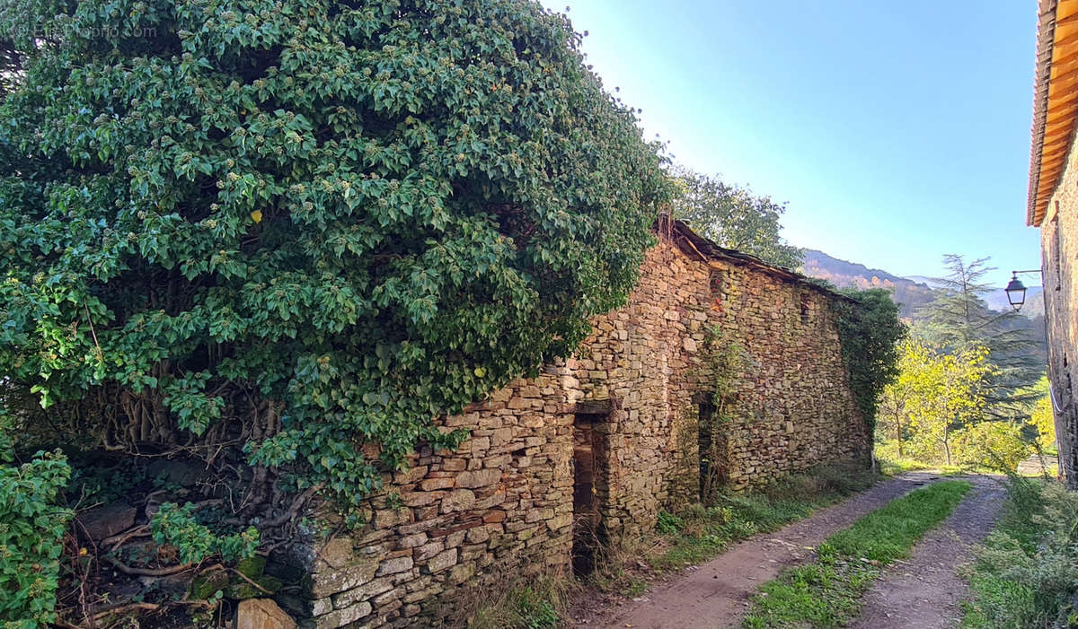 Terrain à SAINT-JEAN-DU-GARD