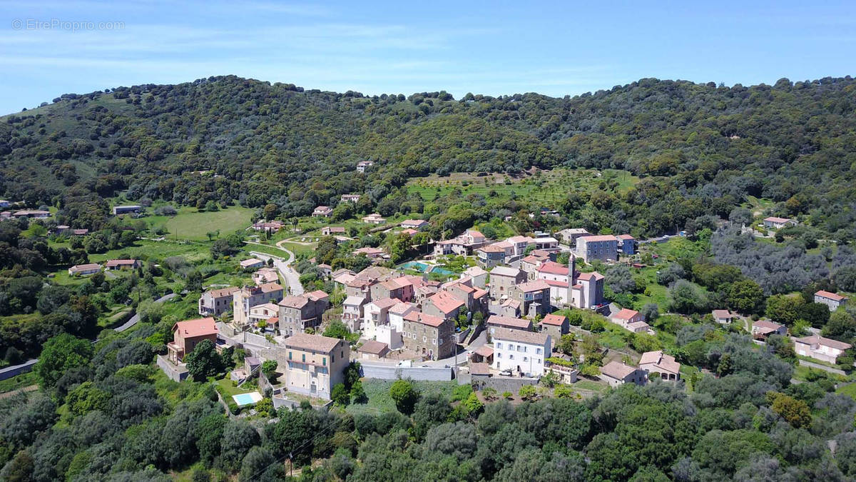 Terrain à CASAGLIONE