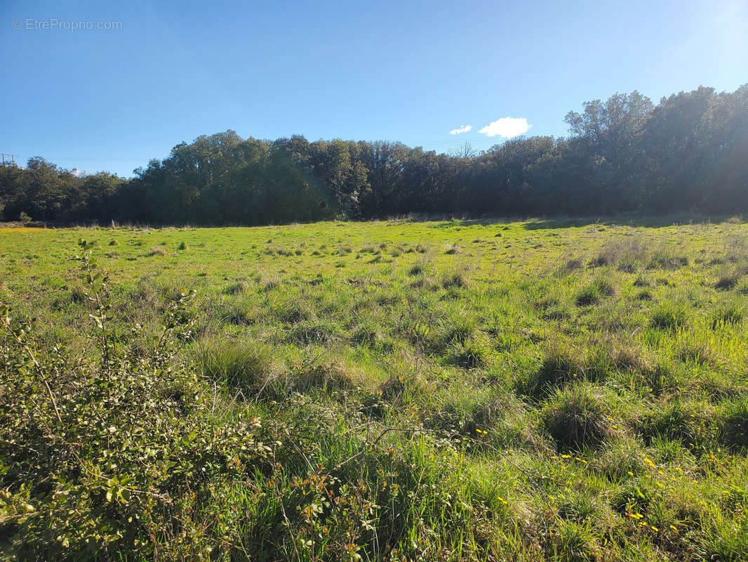 Terrain à ROUSSON