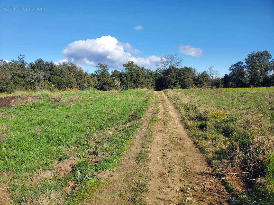 Terrain à ROUSSON