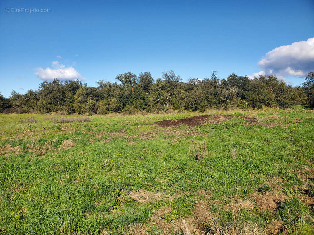 Terrain à ROUSSON