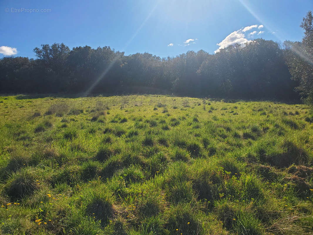 Terrain à ROUSSON