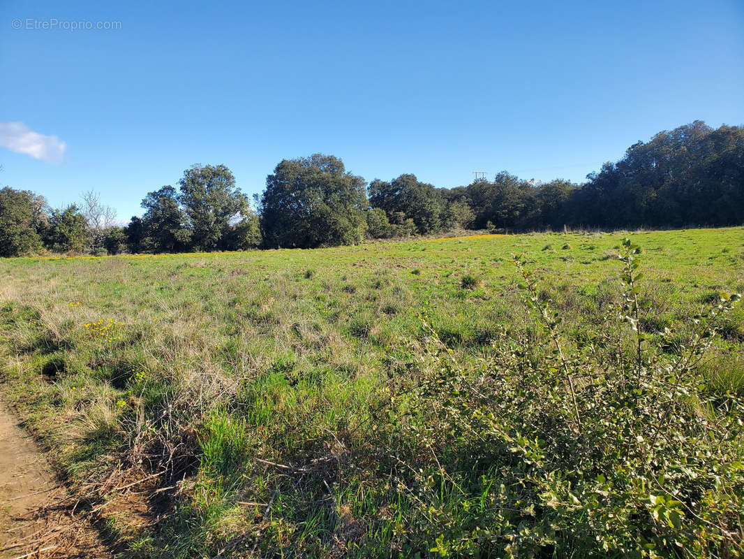 Terrain à ROUSSON