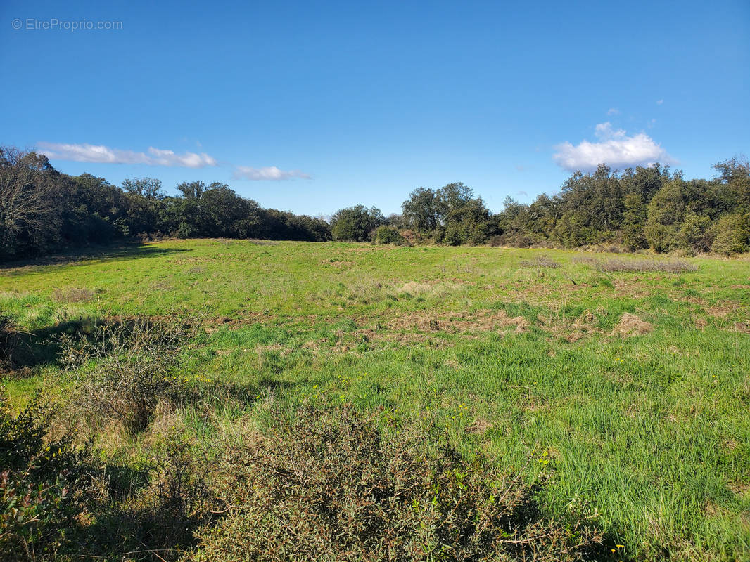 Terrain à ROUSSON