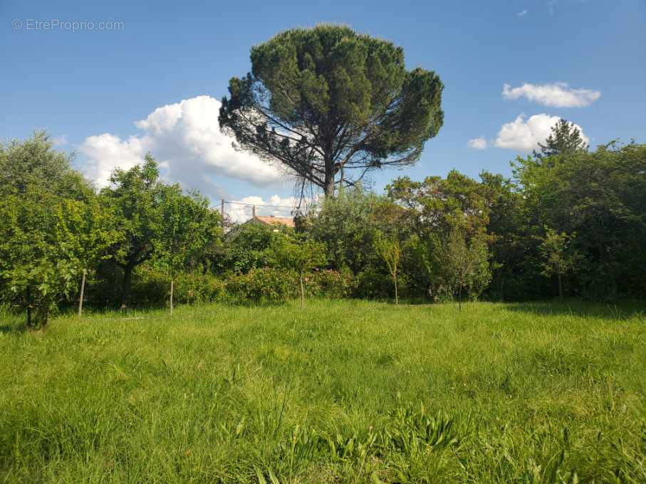 Terrain à ALES