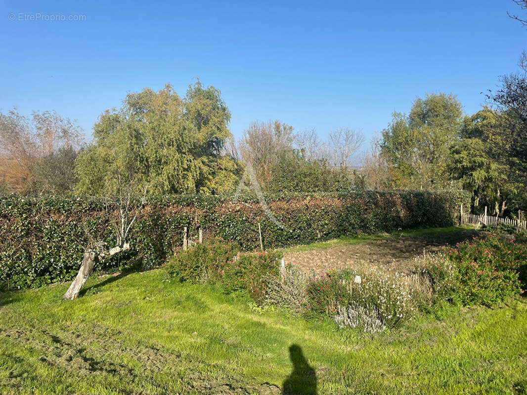 Terrain à JARD-SUR-MER