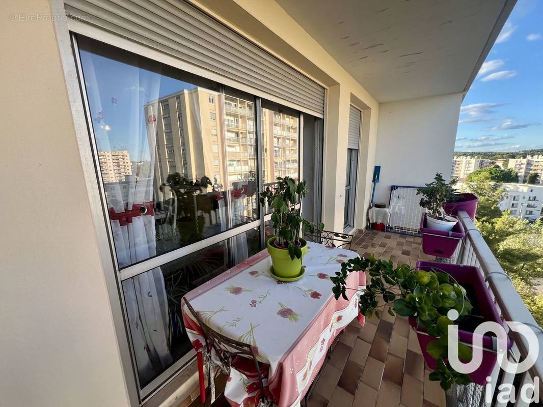 Photo 1 - Appartement à MONTPELLIER