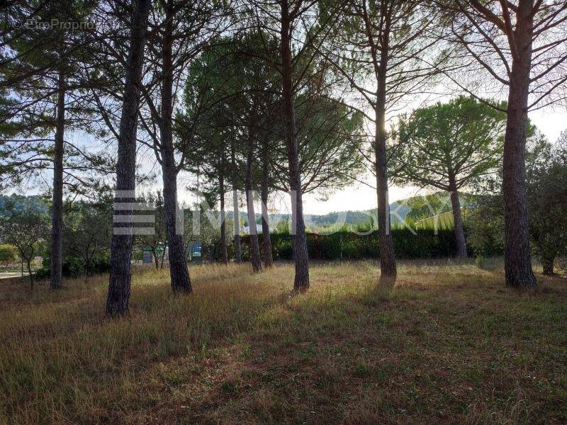 Terrain à FIGANIERES