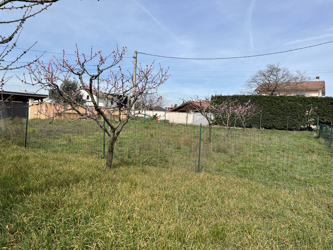 Terrain à TERNAY