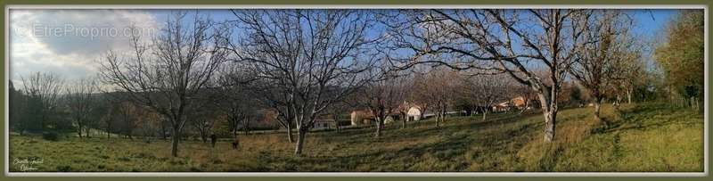 Terrain à CHALAIS