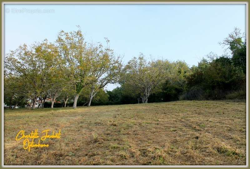 Terrain à CHALAIS