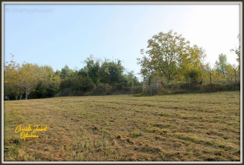 Terrain à CHALAIS