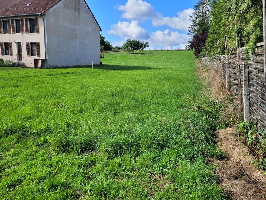 Terrain à BRIN-SUR-SEILLE