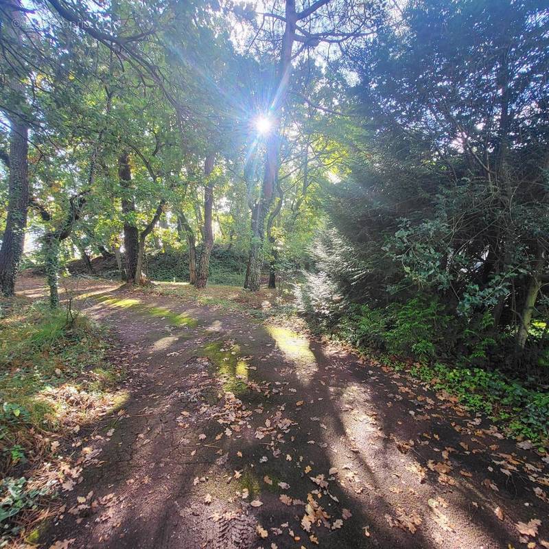 Photo 1 - Terrain à LE TOUQUET-PARIS-PLAGE