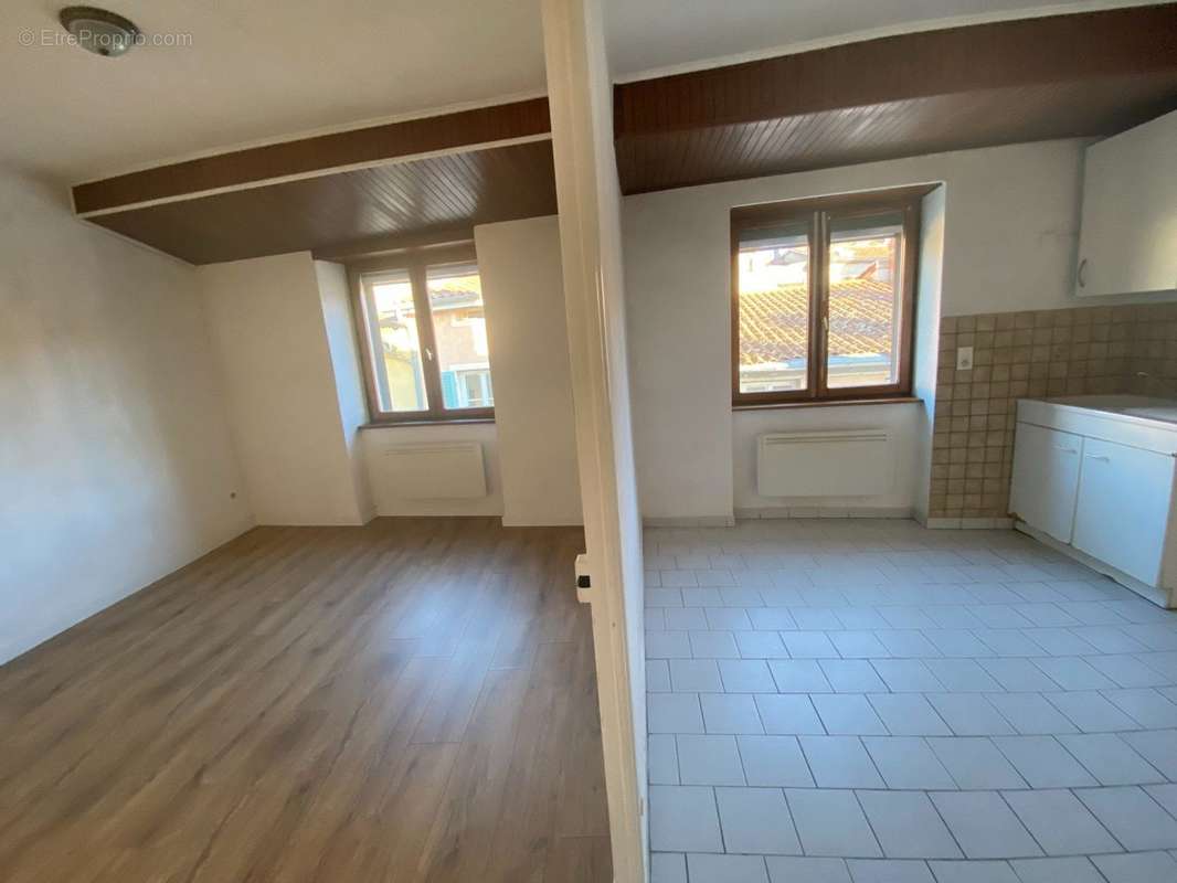 Appartement à VIENNE