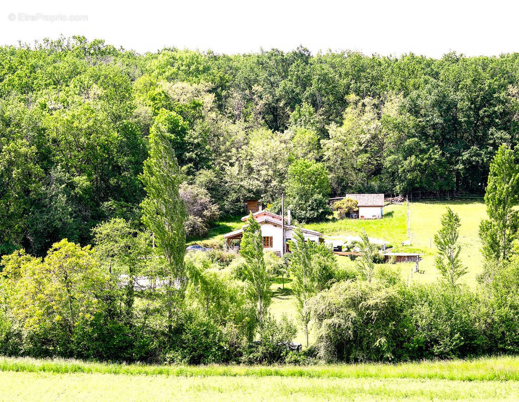 Maison à LAUZERTE