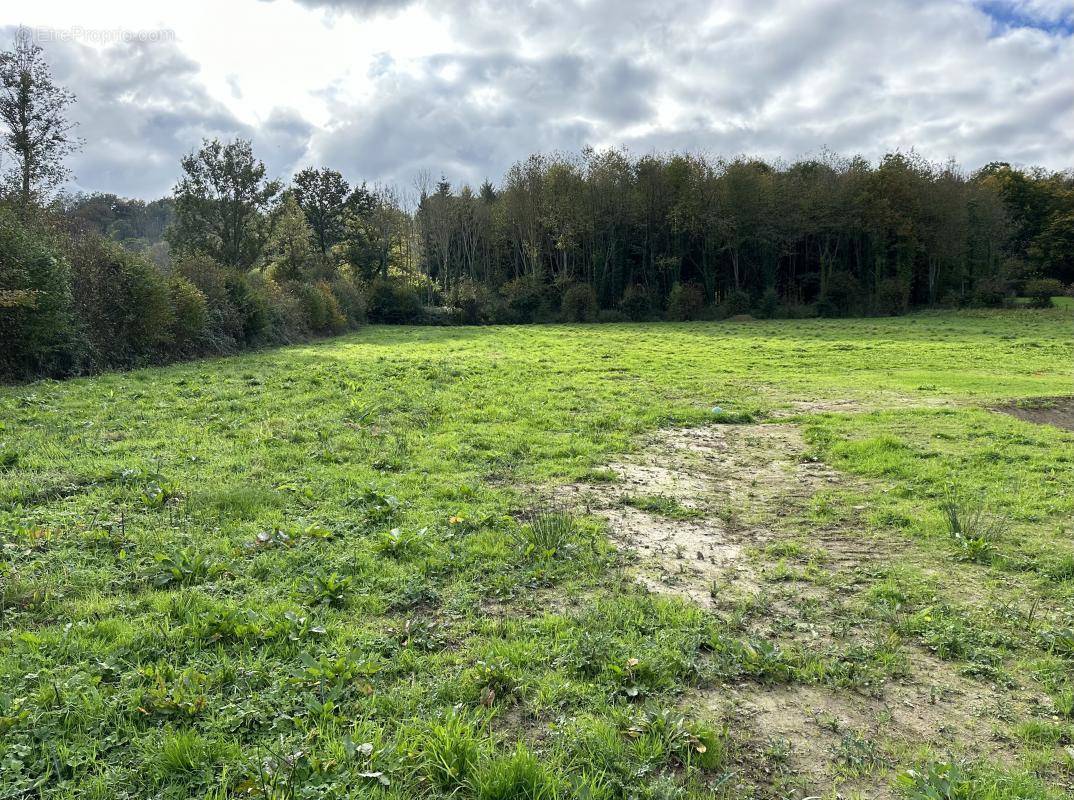 Terrain à CORMEILLES