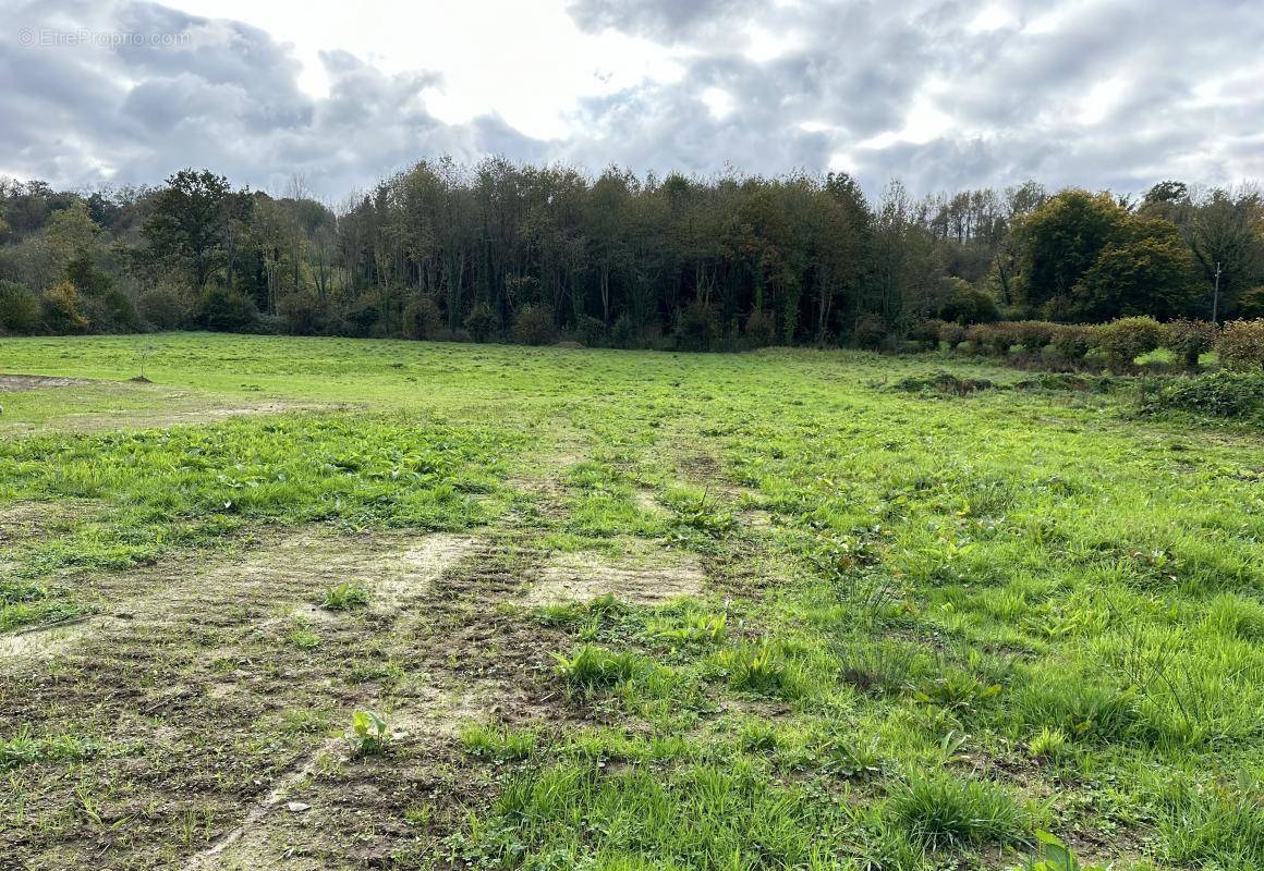 Terrain à CORMEILLES