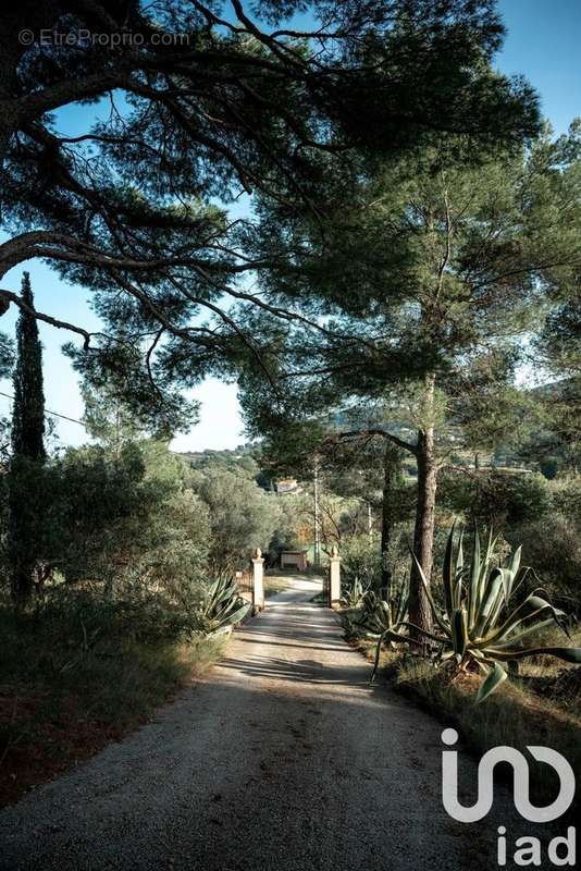 Photo 2 - Maison à LA CADIERE-D&#039;AZUR