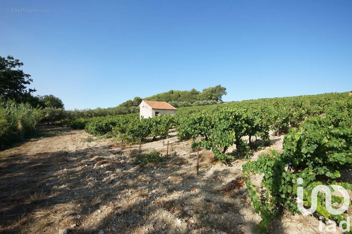 Photo 1 - Terrain à SAINT-MAURICE-SUR-EYGUES