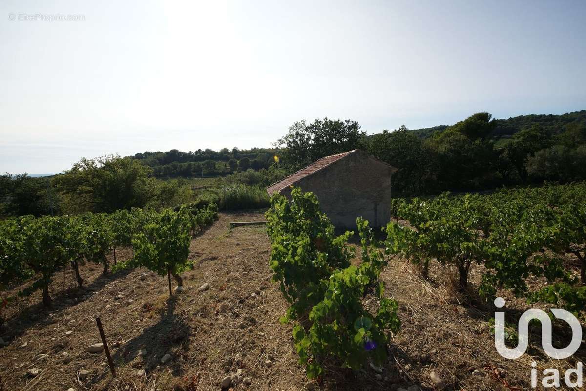 Photo 4 - Terrain à SAINT-MAURICE-SUR-EYGUES