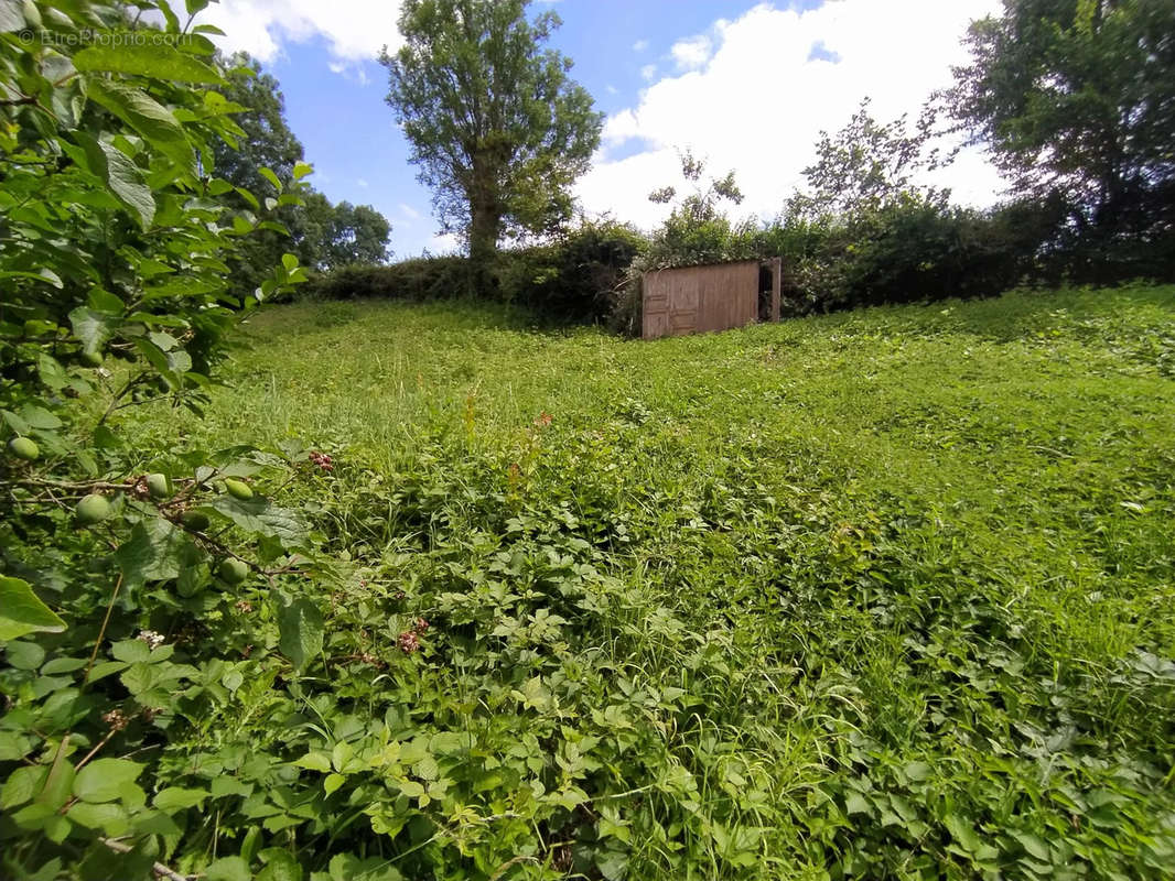 Terrain à WIGNEHIES