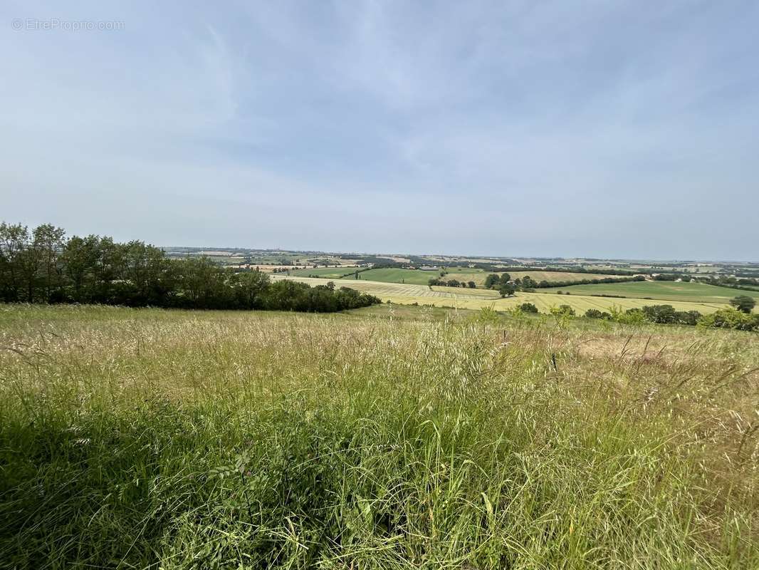 Terrain à SEGREVILLE