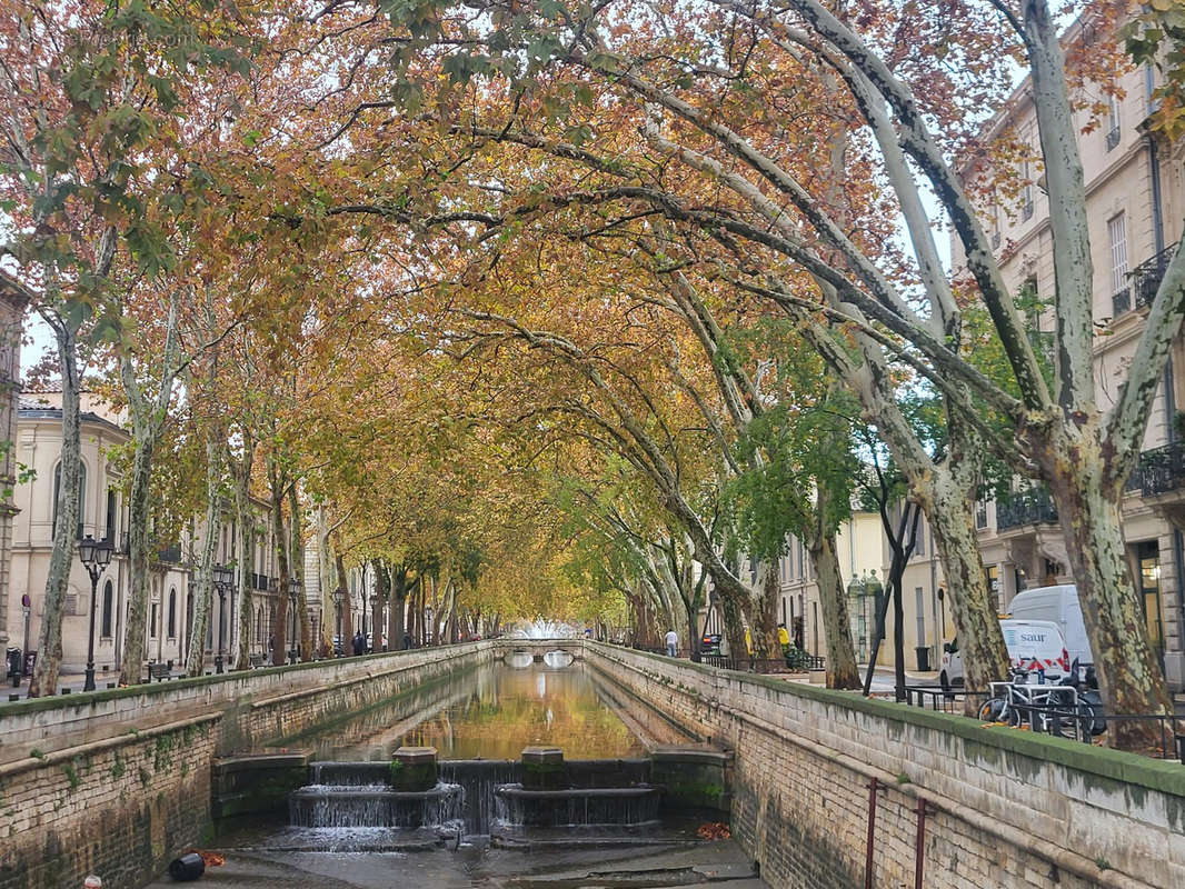 Commerce à NIMES