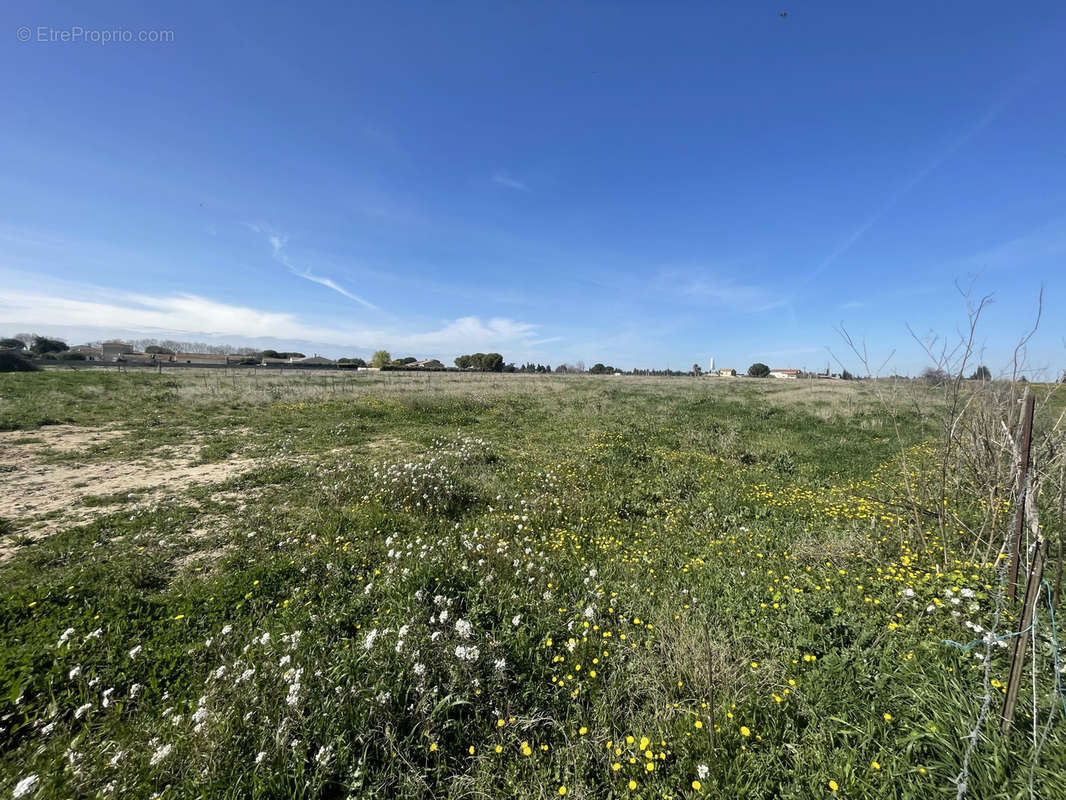 Terrain à NIMES