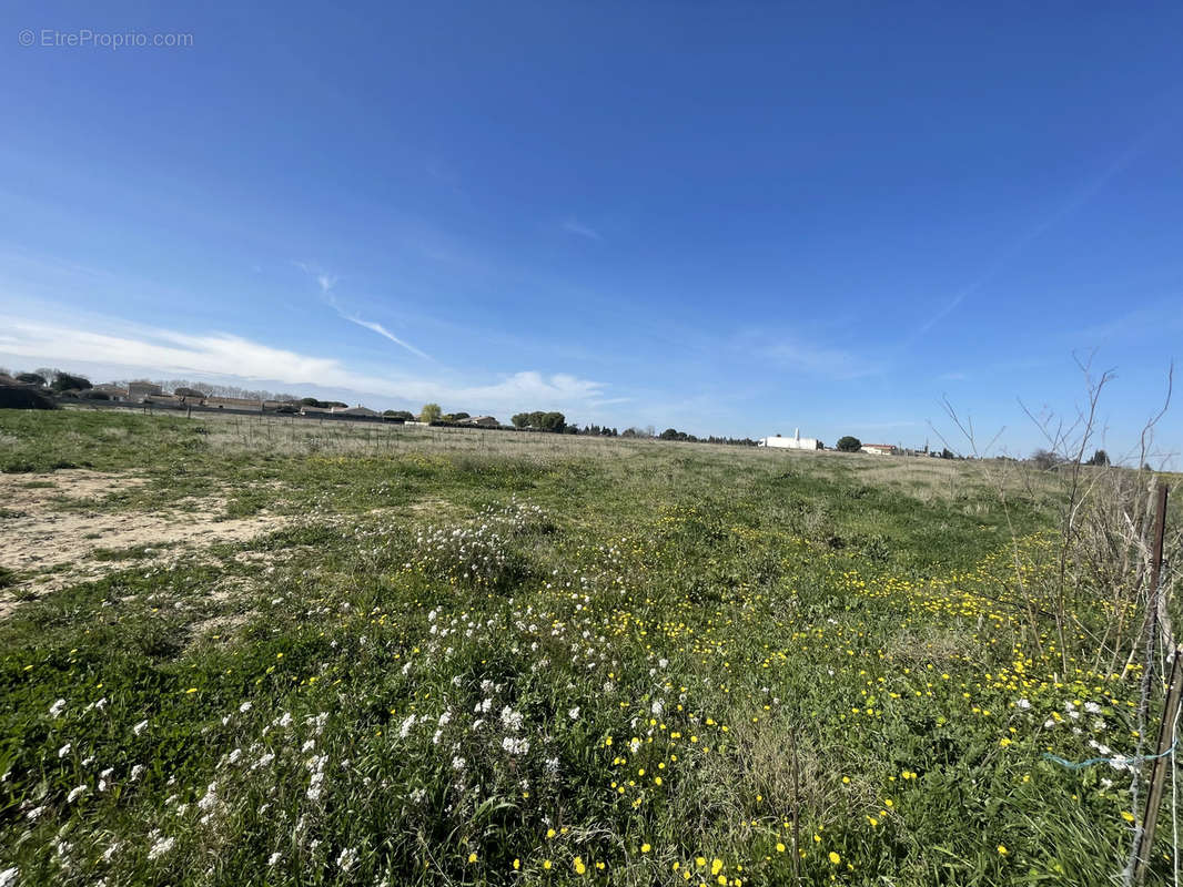 Terrain à NIMES