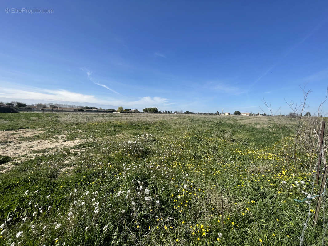 Terrain à NIMES