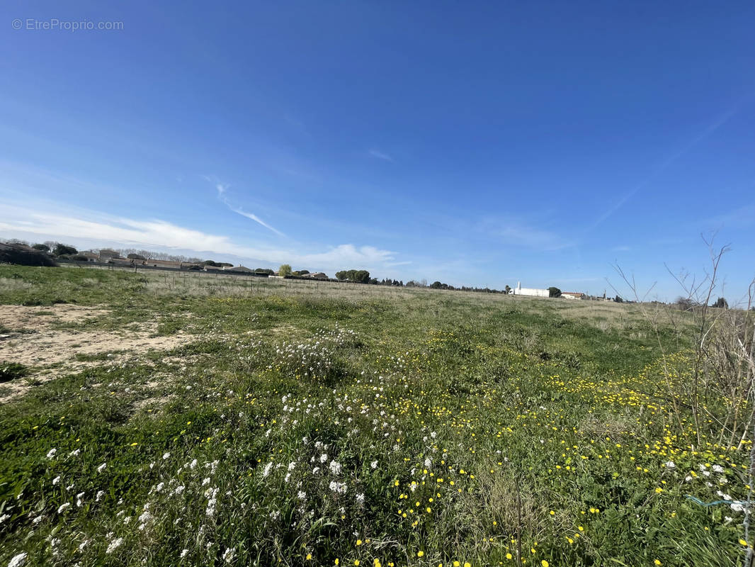 Terrain à NIMES