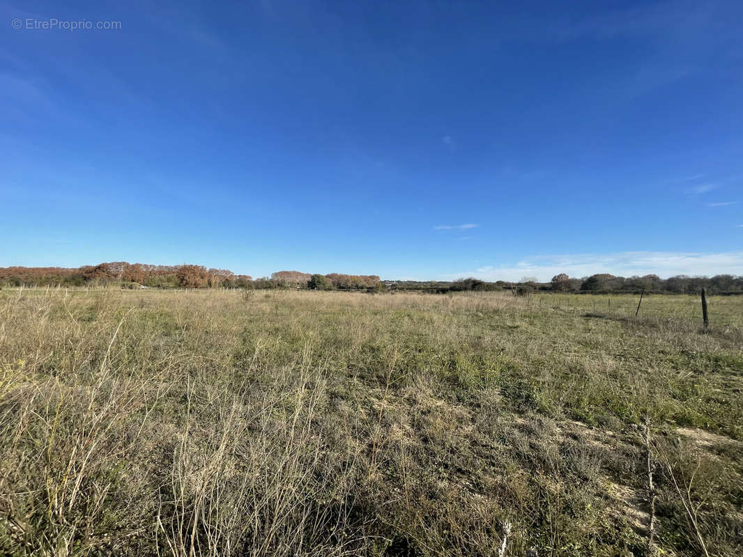 Terrain à GALLARGUES-LE-MONTUEUX