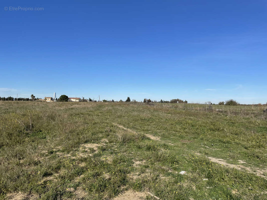 Terrain à GALLARGUES-LE-MONTUEUX