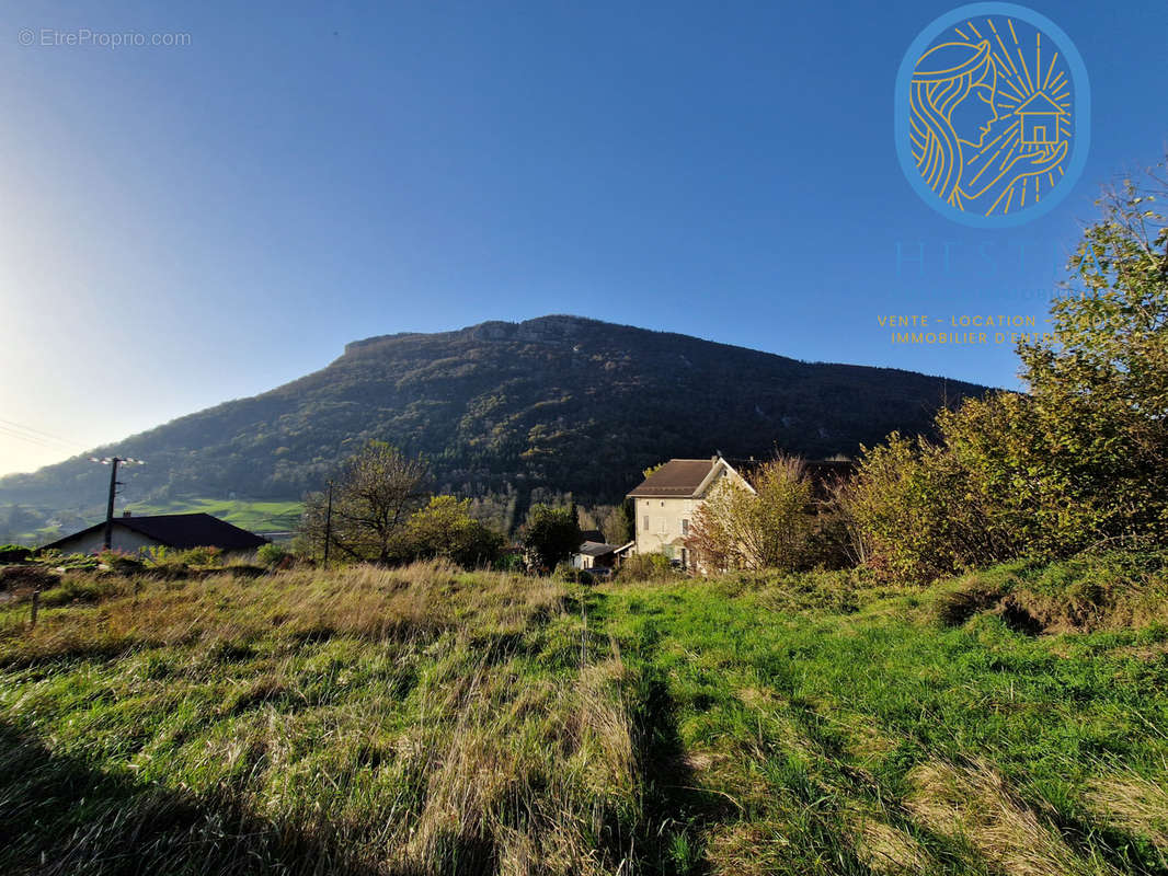 Terrain à POMMIERS-LA-PLACETTE