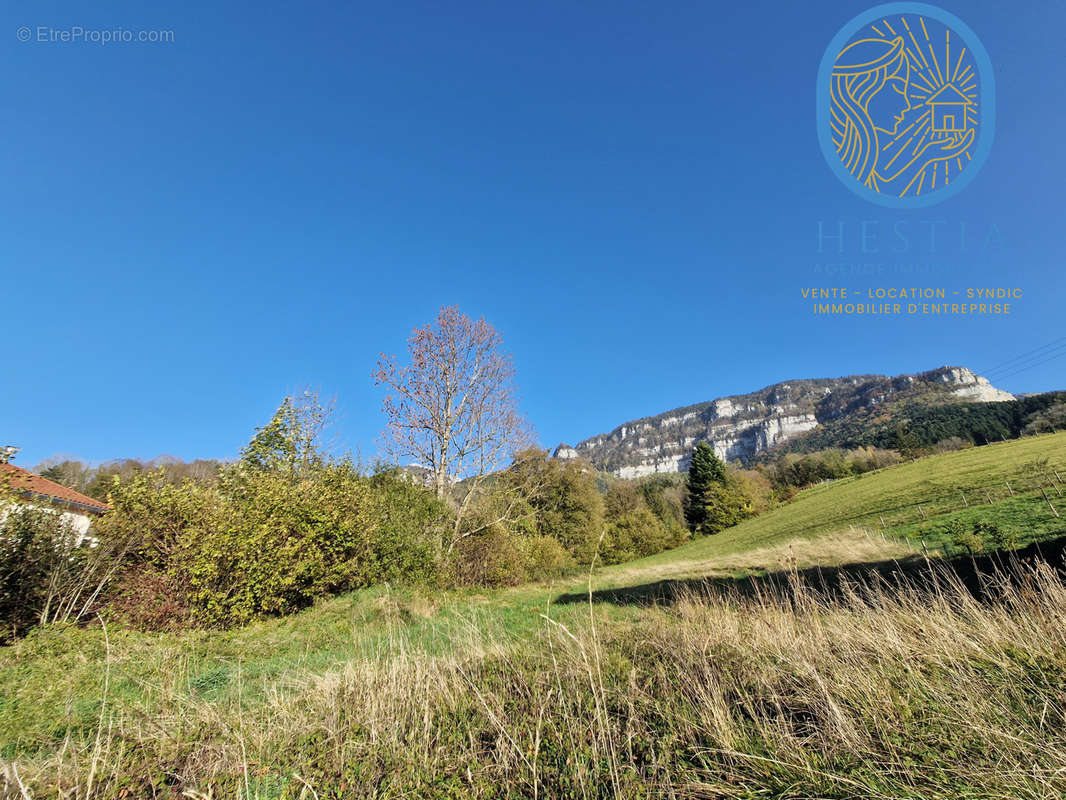 Terrain à POMMIERS-LA-PLACETTE