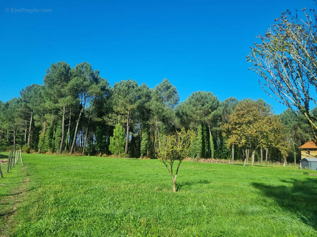 Maison à BAZAS