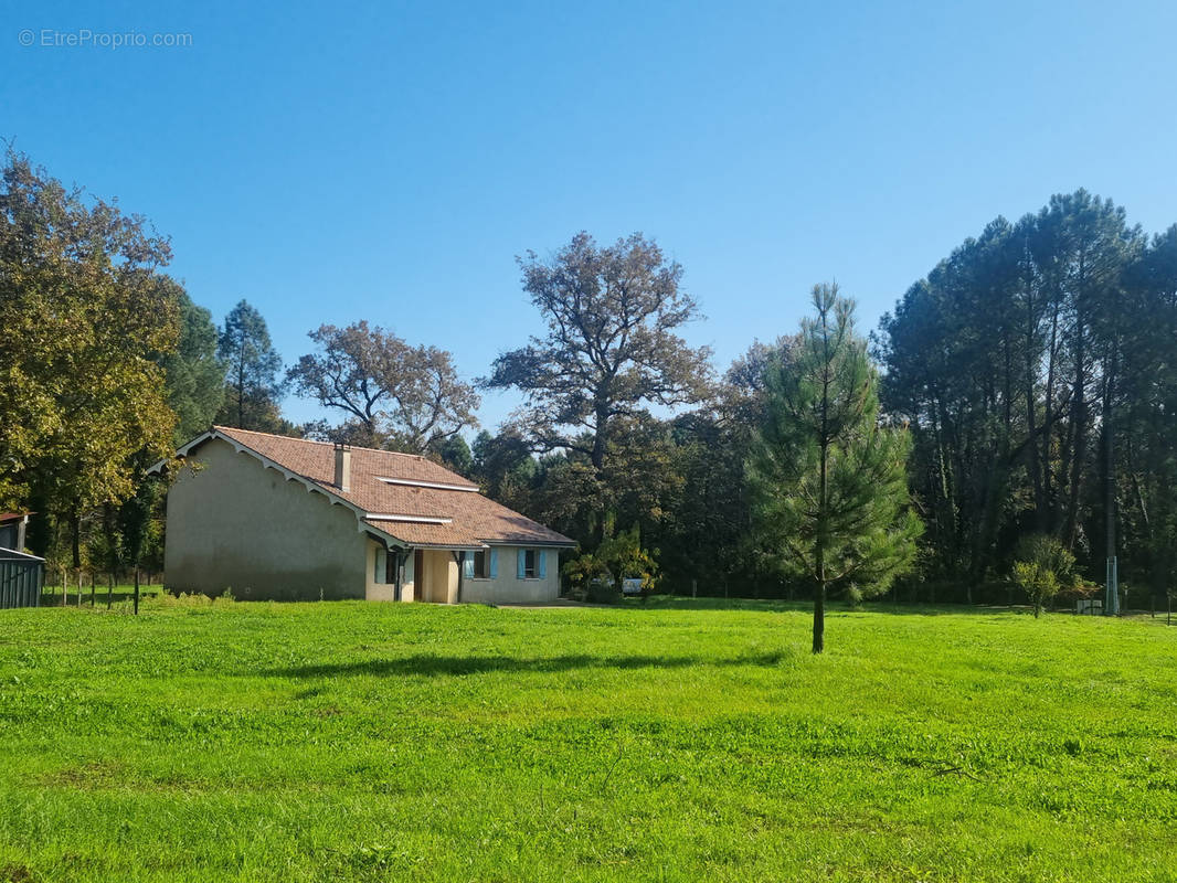 Maison à BAZAS