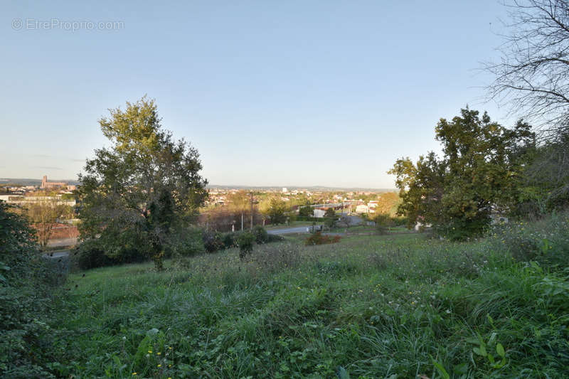 Terrain à ALBI