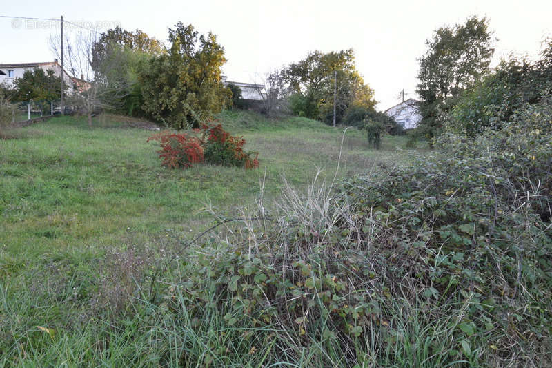 Terrain à ALBI