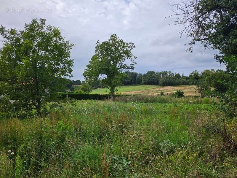 Terrain à COUCY-LE-CHATEAU-AUFFRIQUE