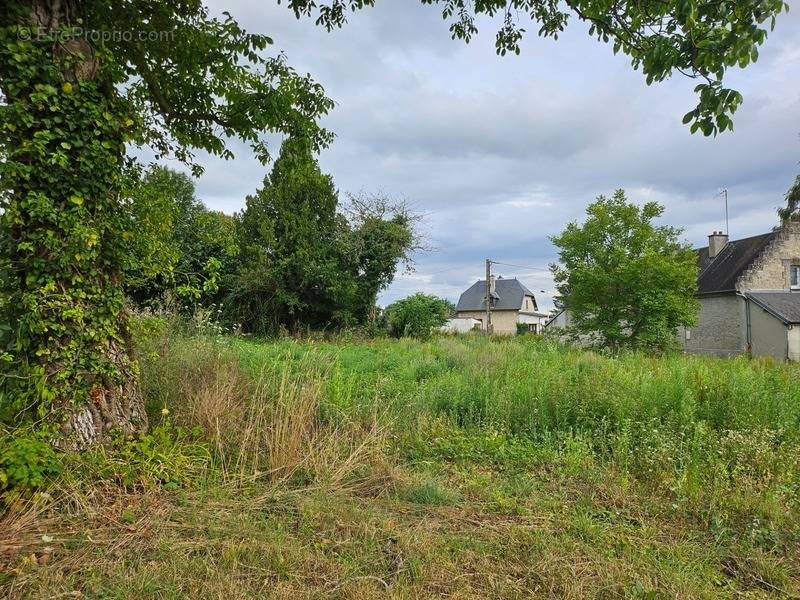 Terrain à COUCY-LE-CHATEAU-AUFFRIQUE