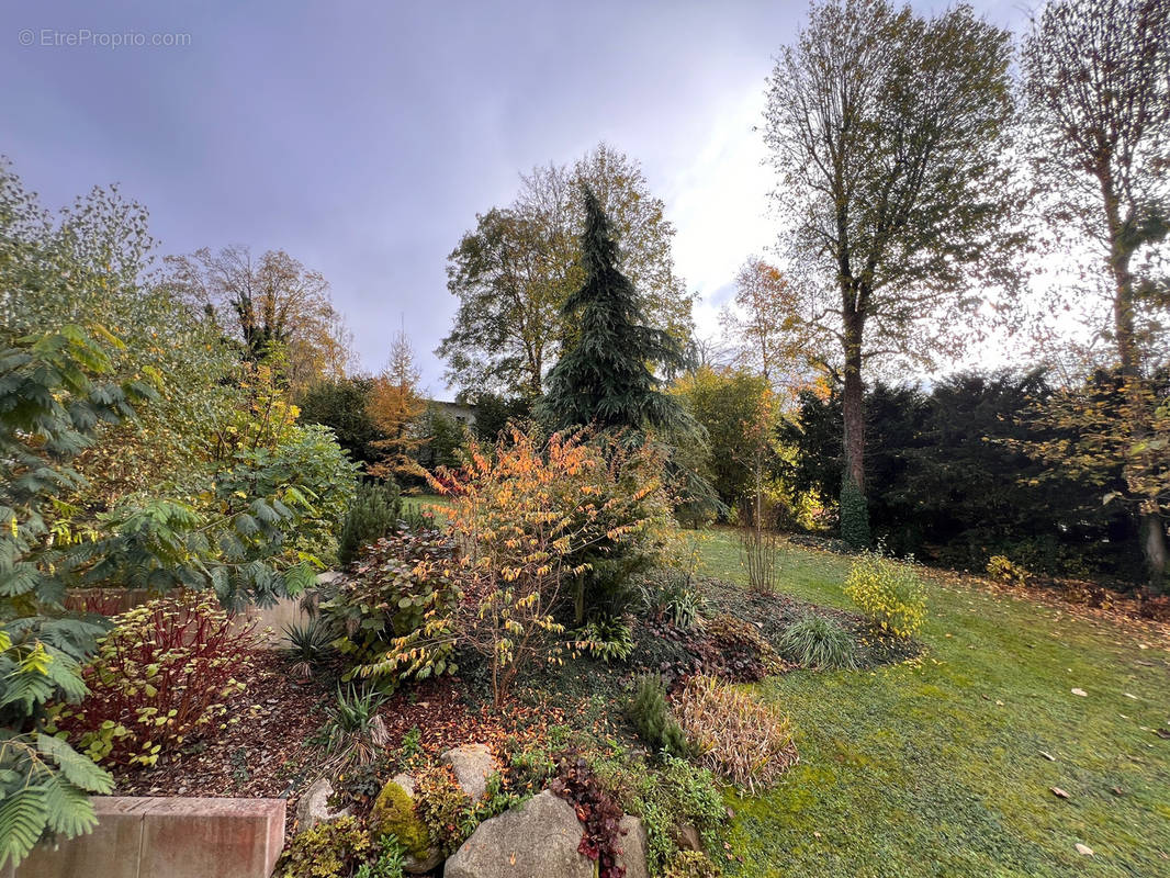 Appartement à MULHOUSE