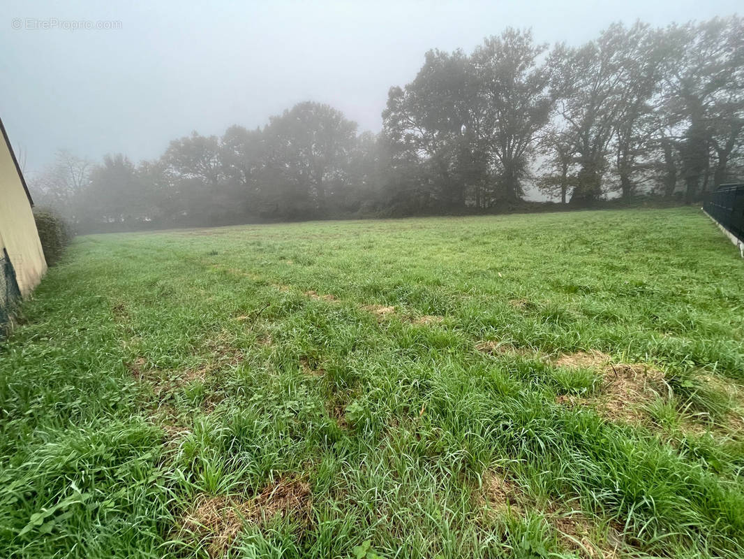 Terrain à REDON