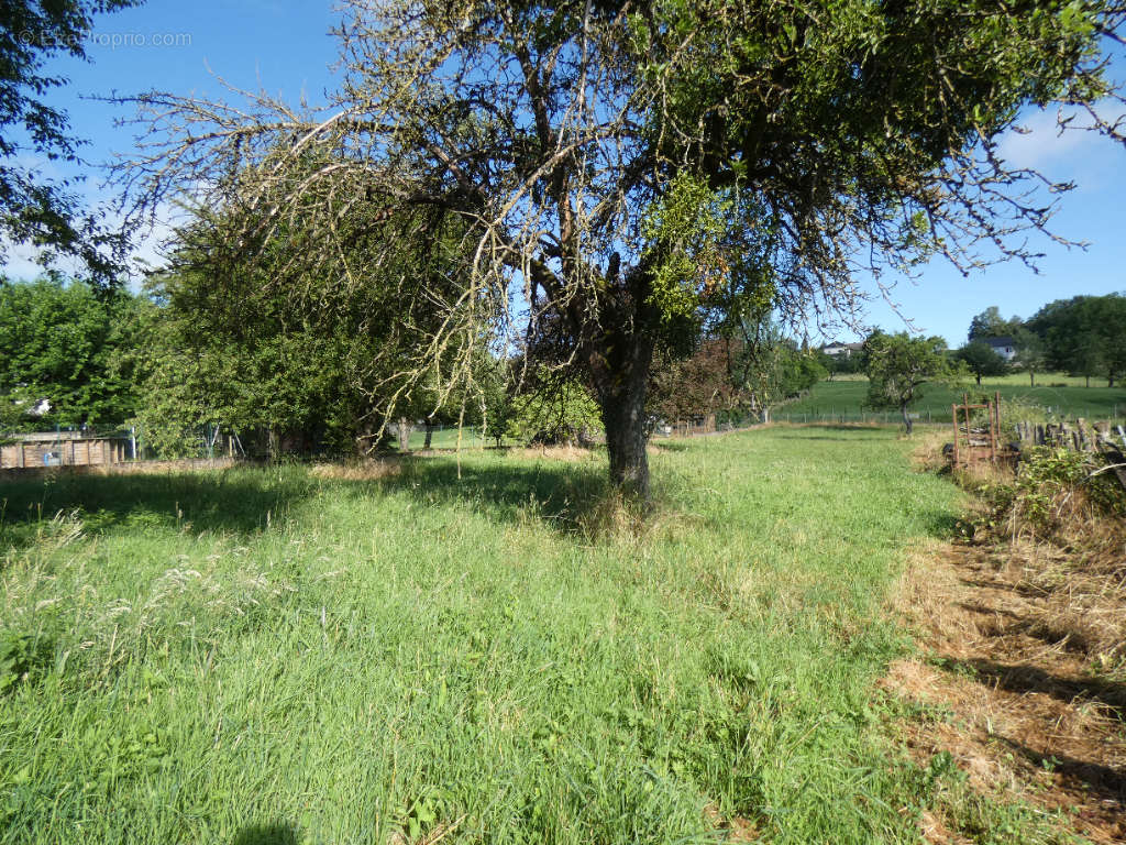 Terrain à RECOLOGNE-LES-RIOZ