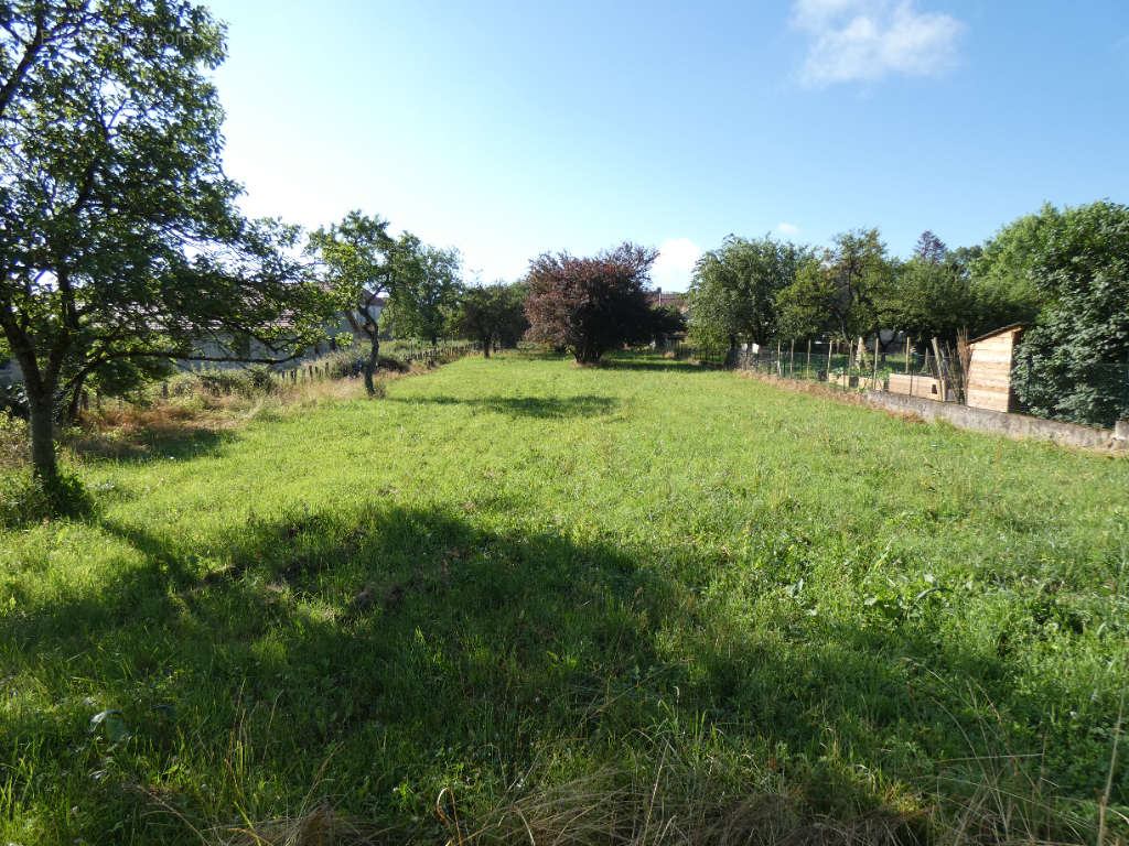 Terrain à RECOLOGNE-LES-RIOZ