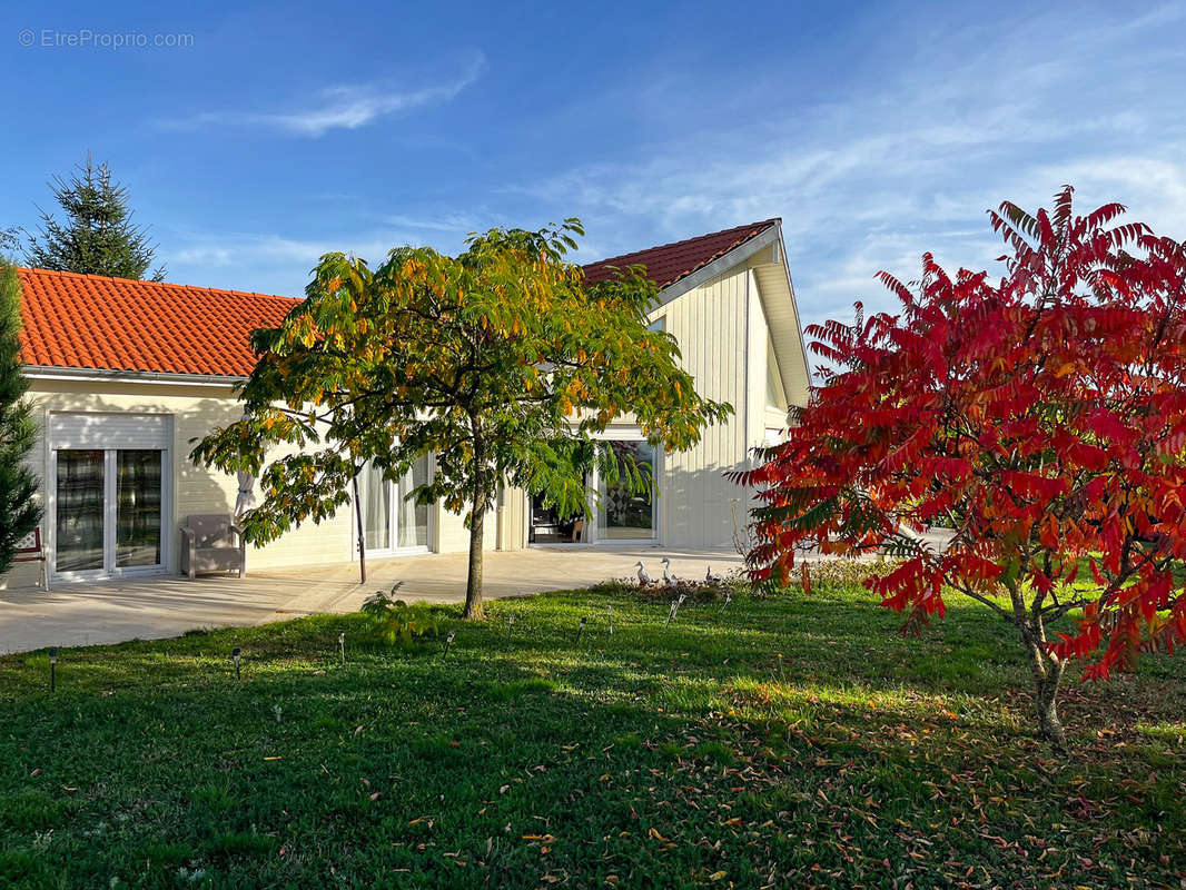 Maison à COURPIERE